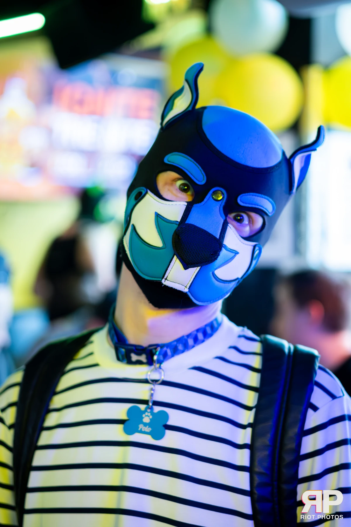 Kennel Klub - April, 2026 — 04 Apr 2026, Fluffy Riot photography — photo 8