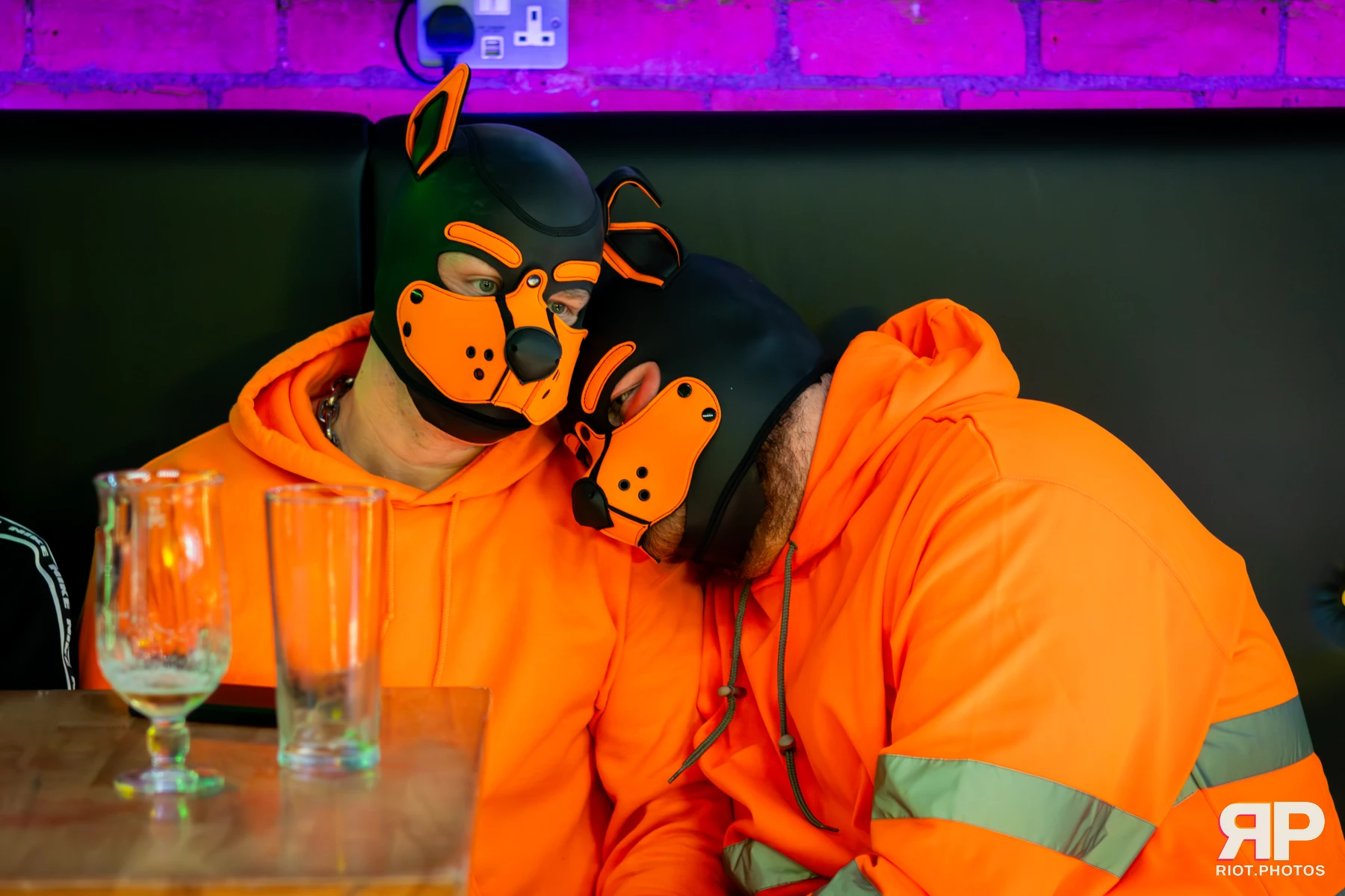 Kennel Klub - April, 2026 — 04 Apr 2026, Fluffy Riot photography — photo 9