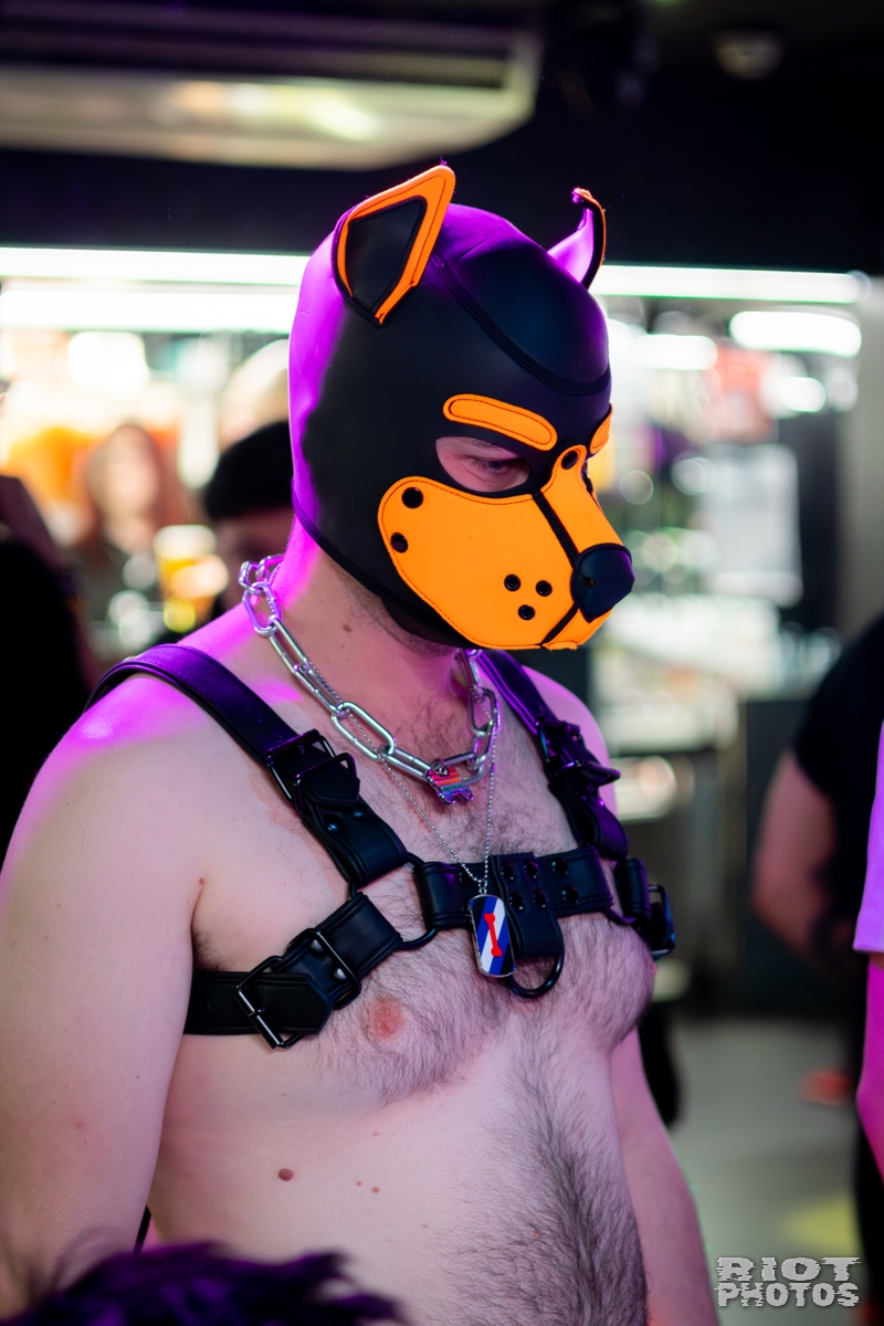 2026-04-04 KennelKlub-202604-020.jpg