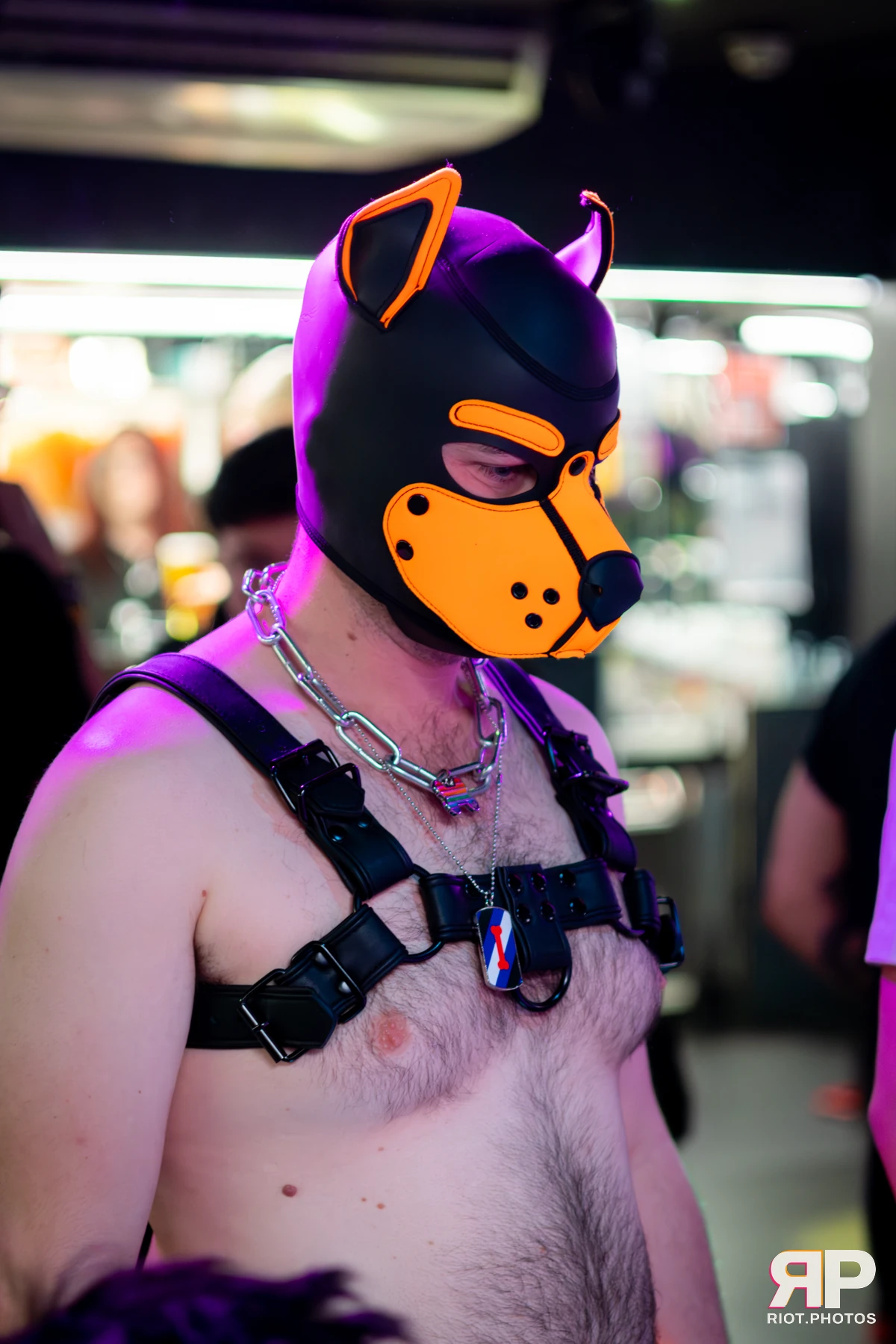 Kennel Klub - April, 2026 — 04 Apr 2026, Fluffy Riot photography — photo 20