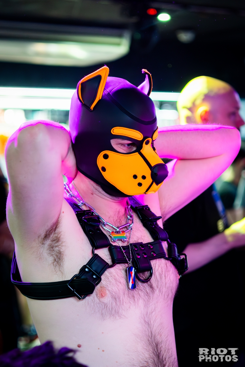 2026-04-04 KennelKlub-202604-021.jpg
