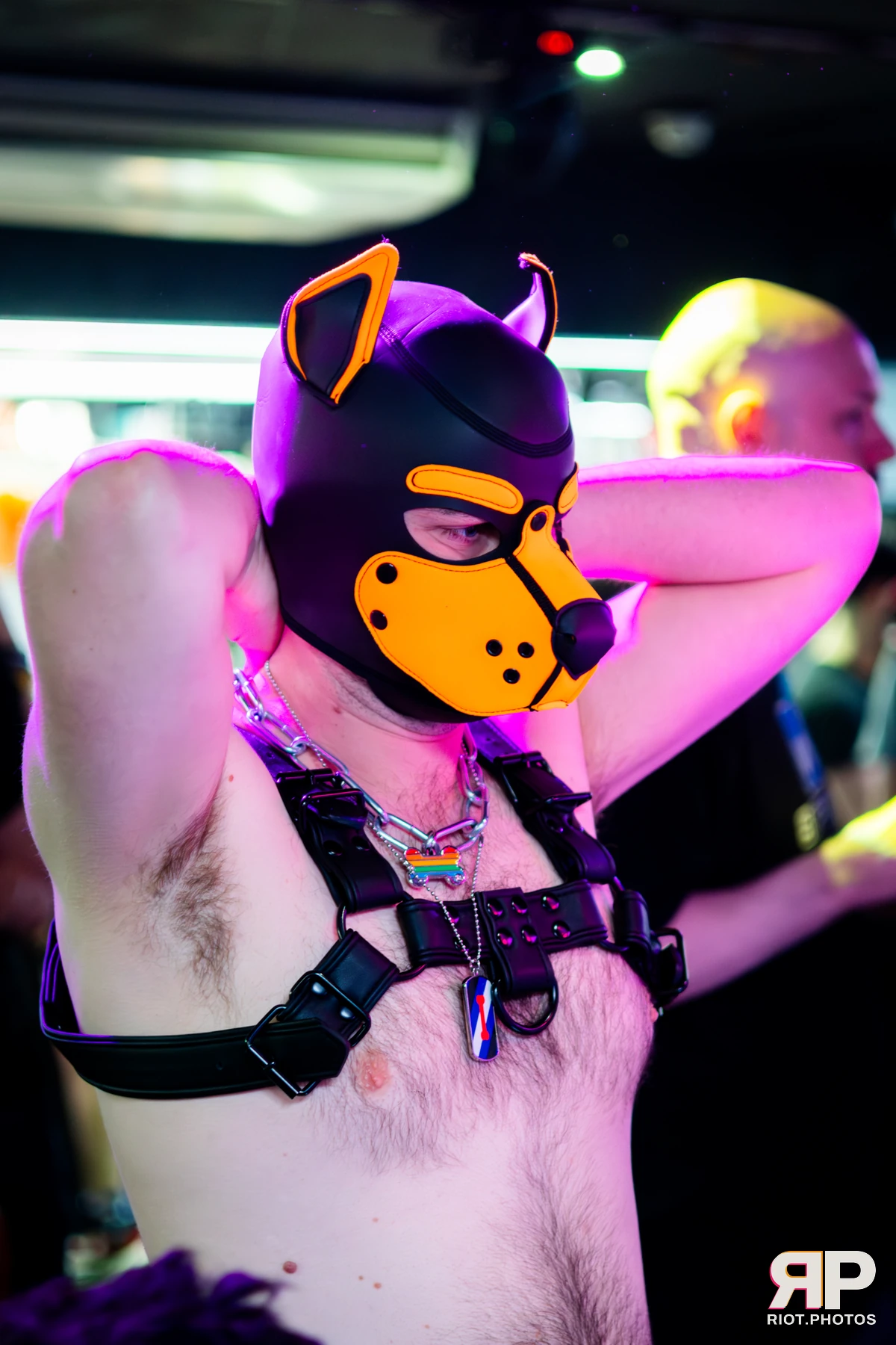 Kennel Klub - April, 2026 — 04 Apr 2026, Fluffy Riot photography — photo 21