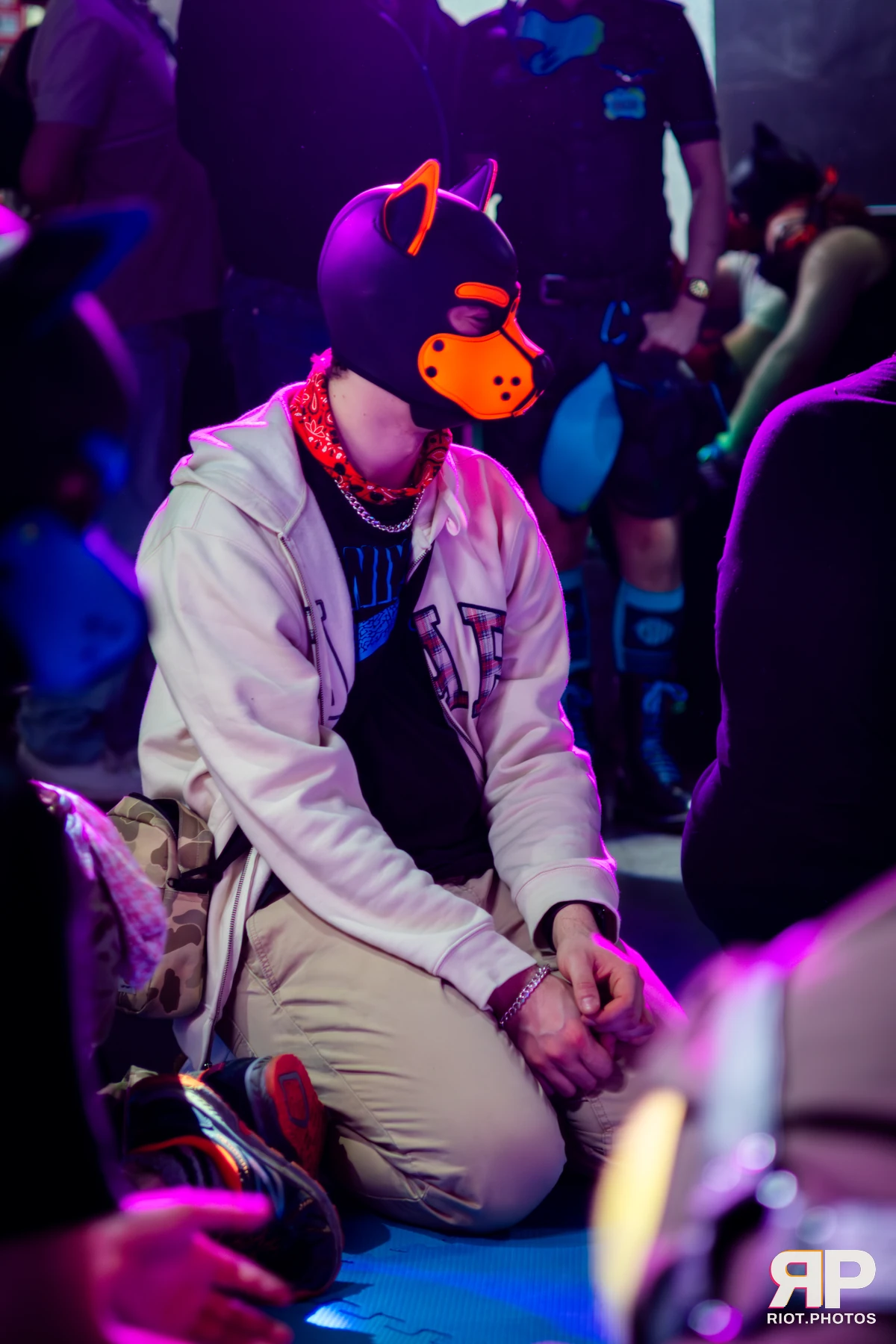 Kennel Klub - April, 2026 — 04 Apr 2026, Fluffy Riot photography — photo 23