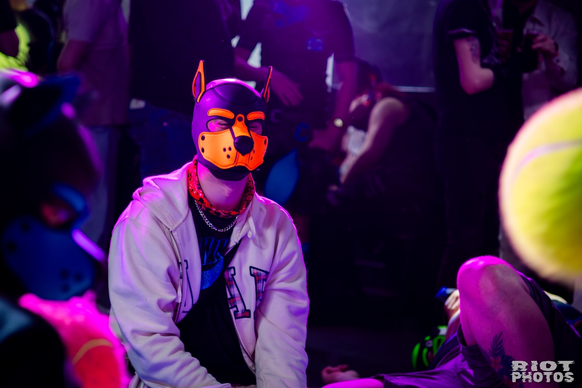 2026-04-04 KennelKlub-202604-024.jpg