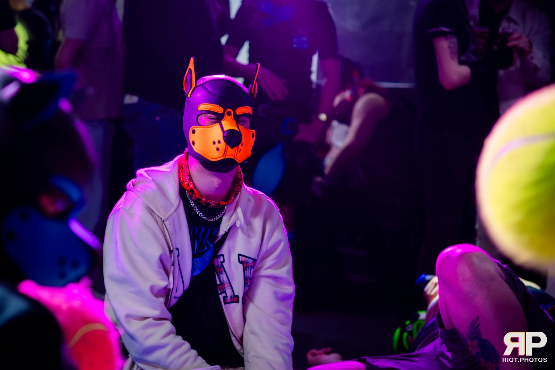 Kennel Klub - April, 2026 — 04 Apr 2026, Fluffy Riot photography — photo 24