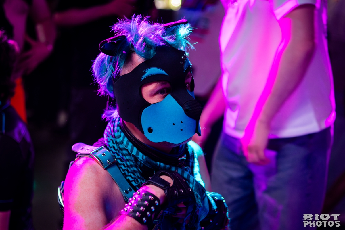 2026-04-04 KennelKlub-202604-025.jpg