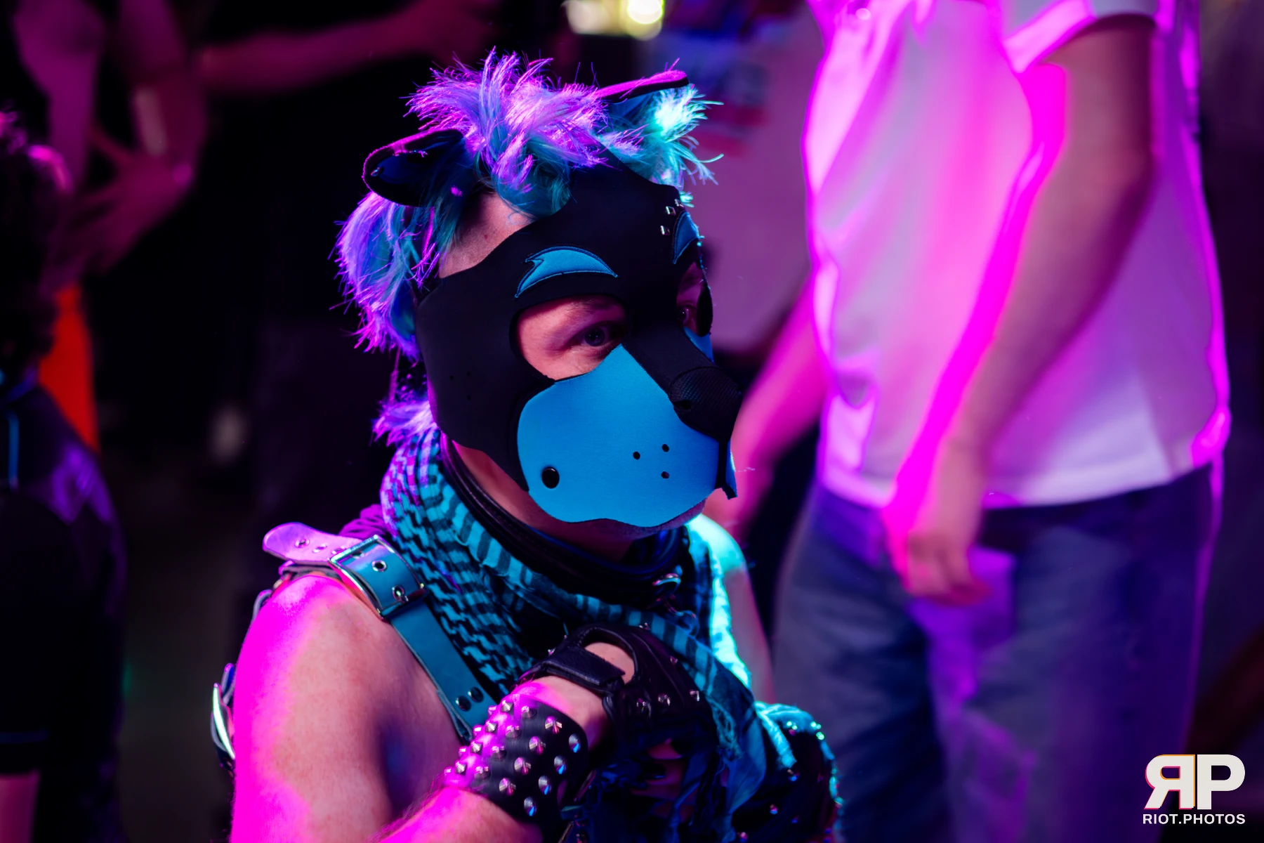 Kennel Klub - April, 2026 — 04 Apr 2026, Fluffy Riot photography — photo 25