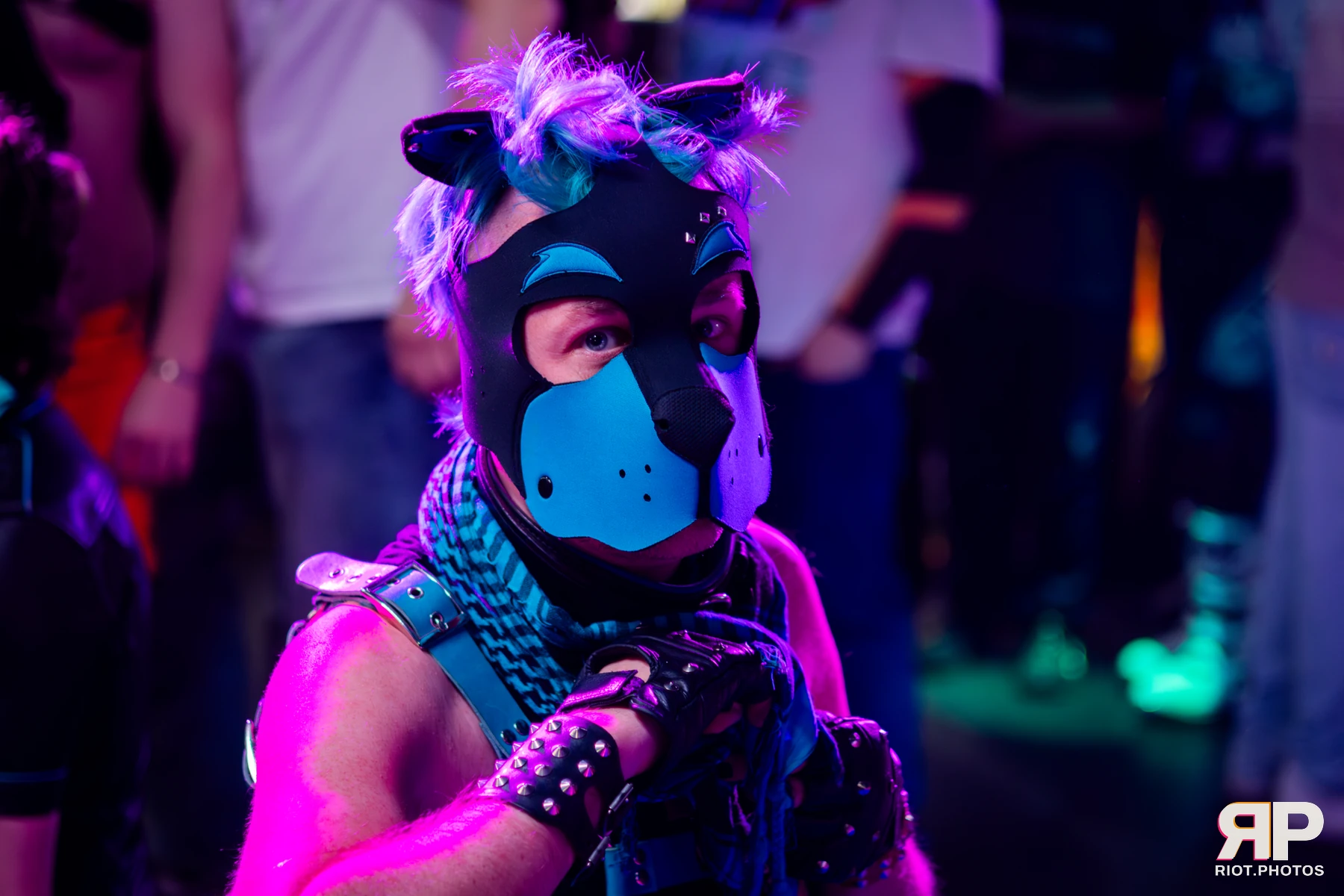 Kennel Klub - April, 2026 — 04 Apr 2026, Fluffy Riot photography — photo 26