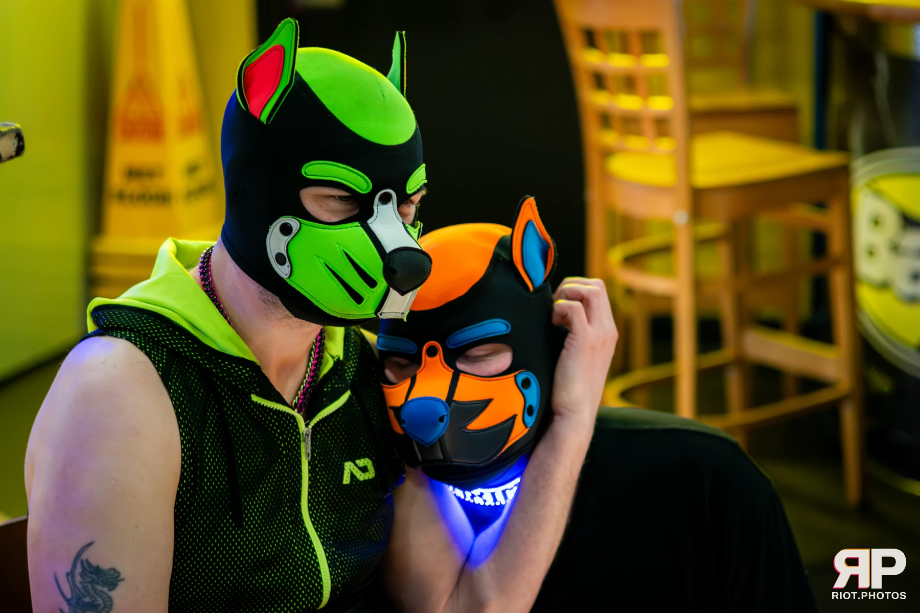 Kennel Klub - April, 2026 — 04 Apr 2026, Fluffy Riot photography — photo 29