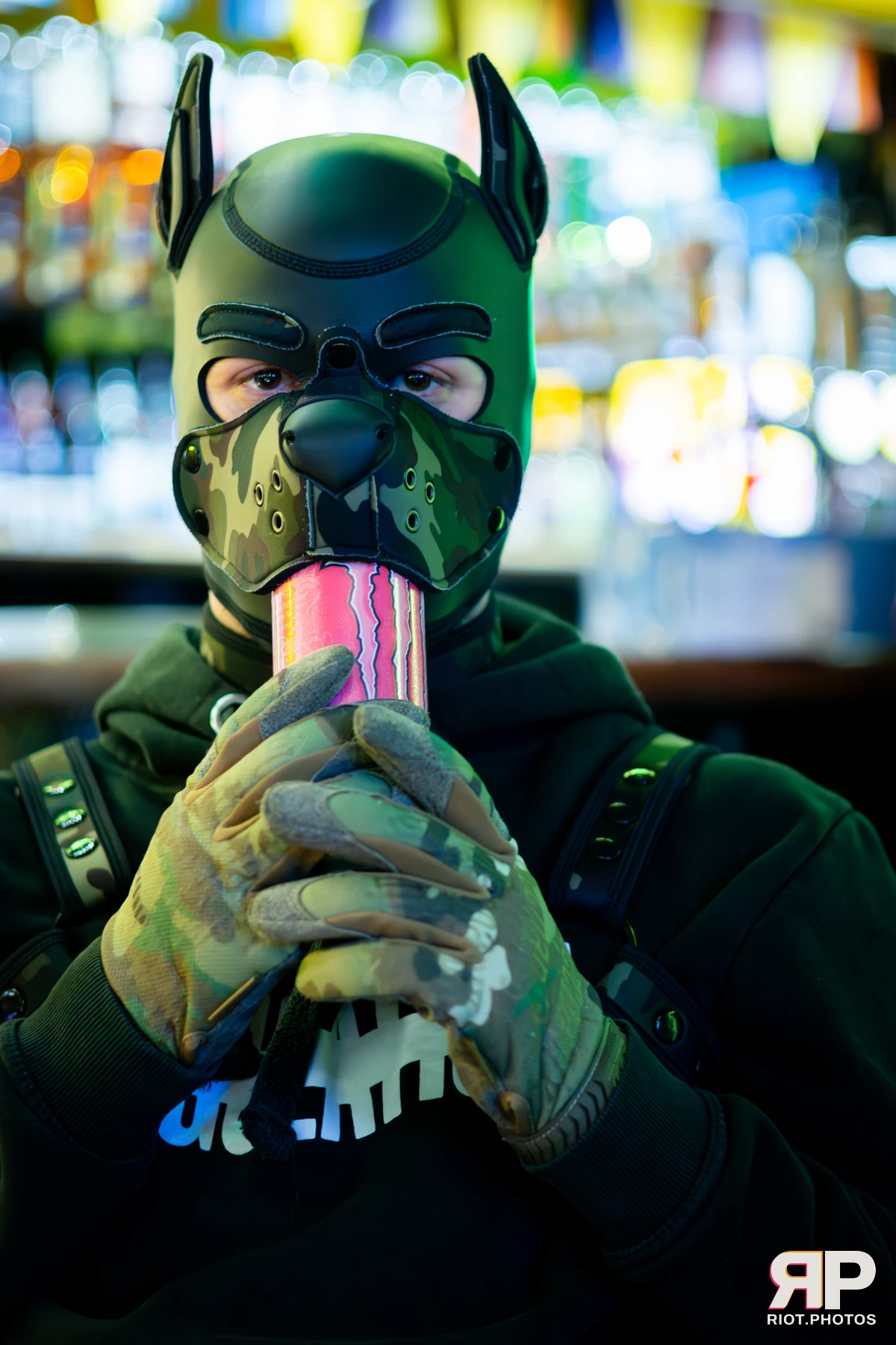 Kennel Klub - April, 2026 — 04 Apr 2026, Fluffy Riot photography — photo 31