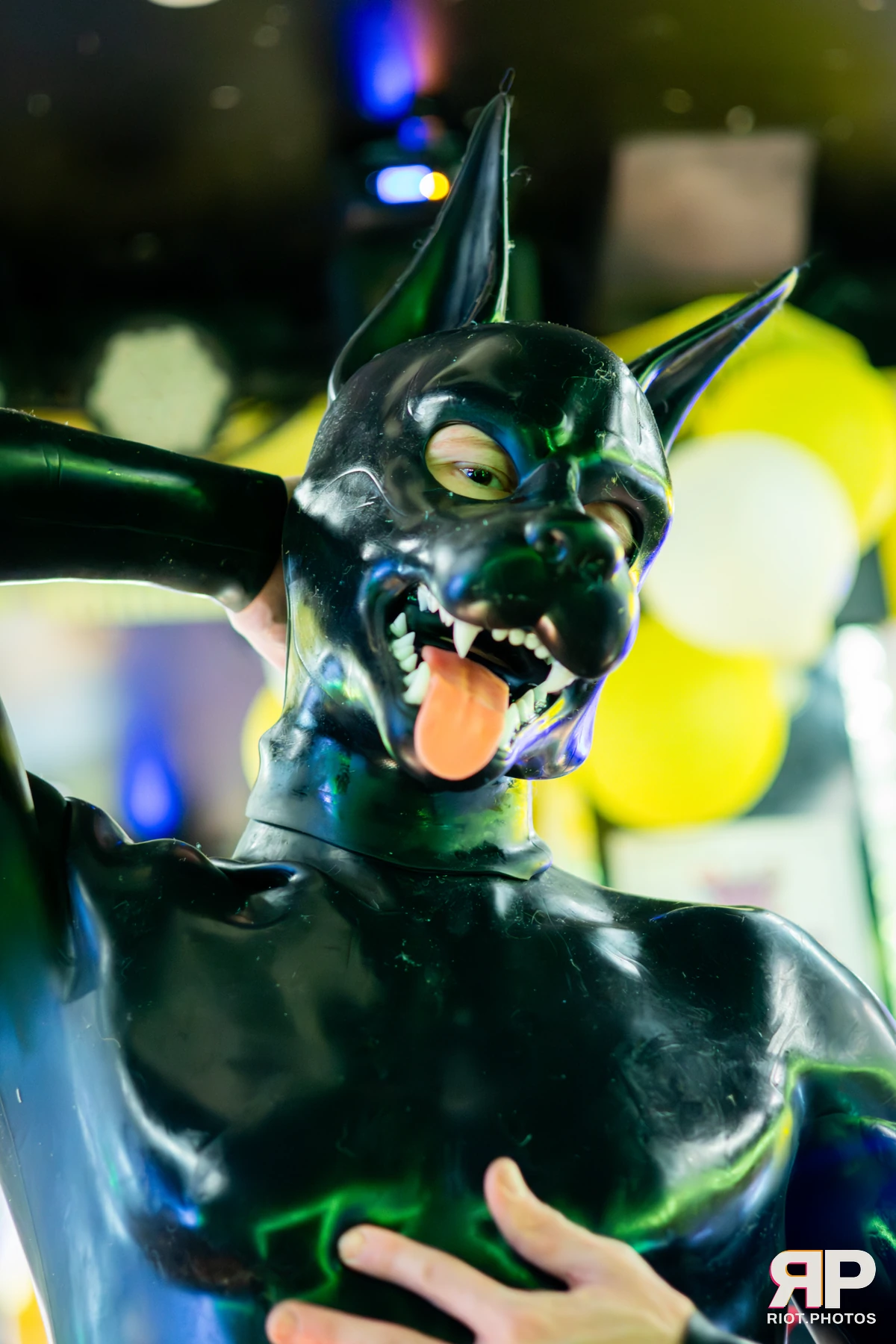 Pup Kaz — furry & pup photography by Fluffy Riot — photo 144