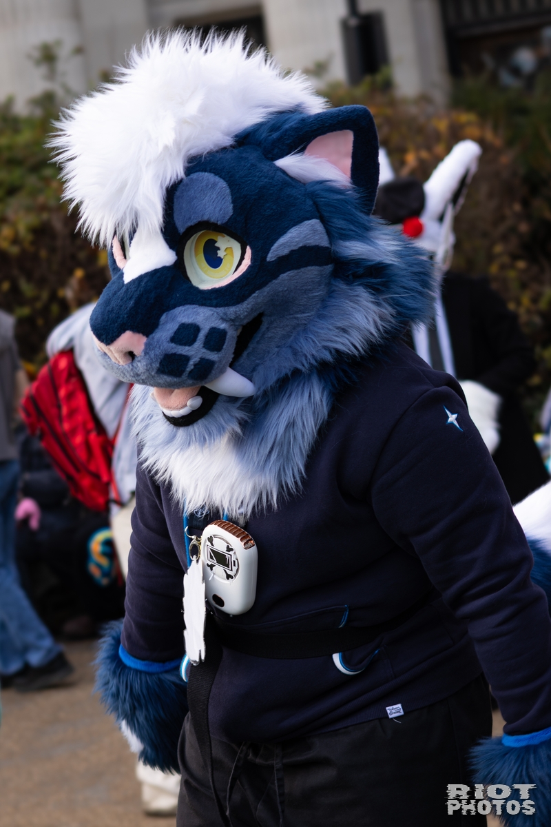 2026-01-31 LondonFurs-001.jpg