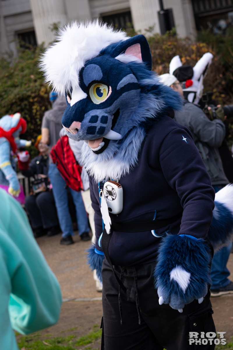 2026-01-31 LondonFurs-002.jpg