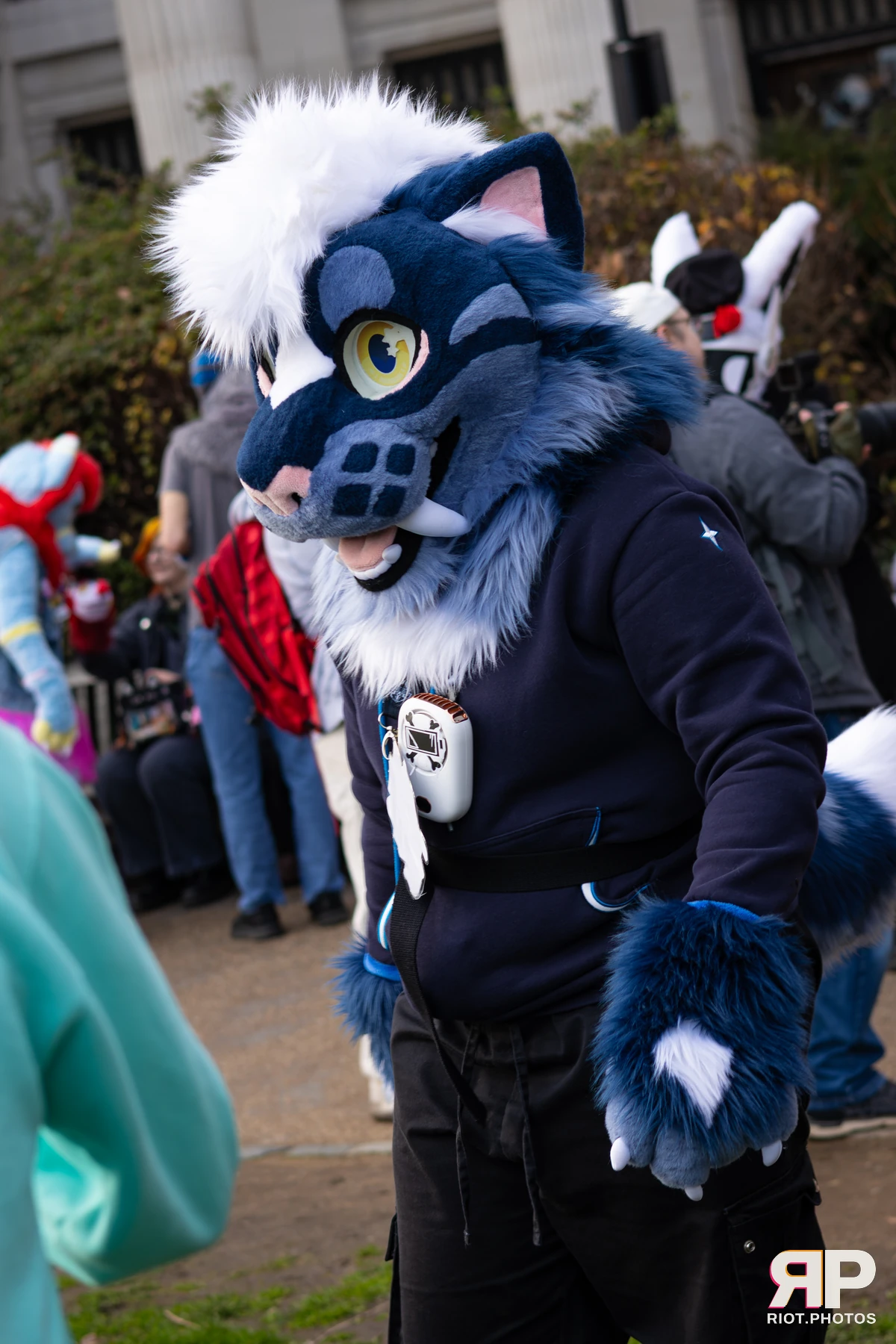 LondonFurs - January, 2026 — 31 Jan 2026, Fluffy Riot photography — photo 2