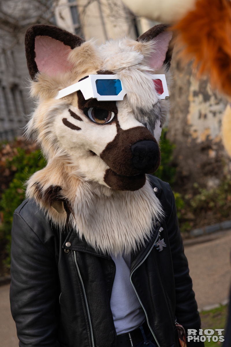 2026-01-31 LondonFurs-003.jpg