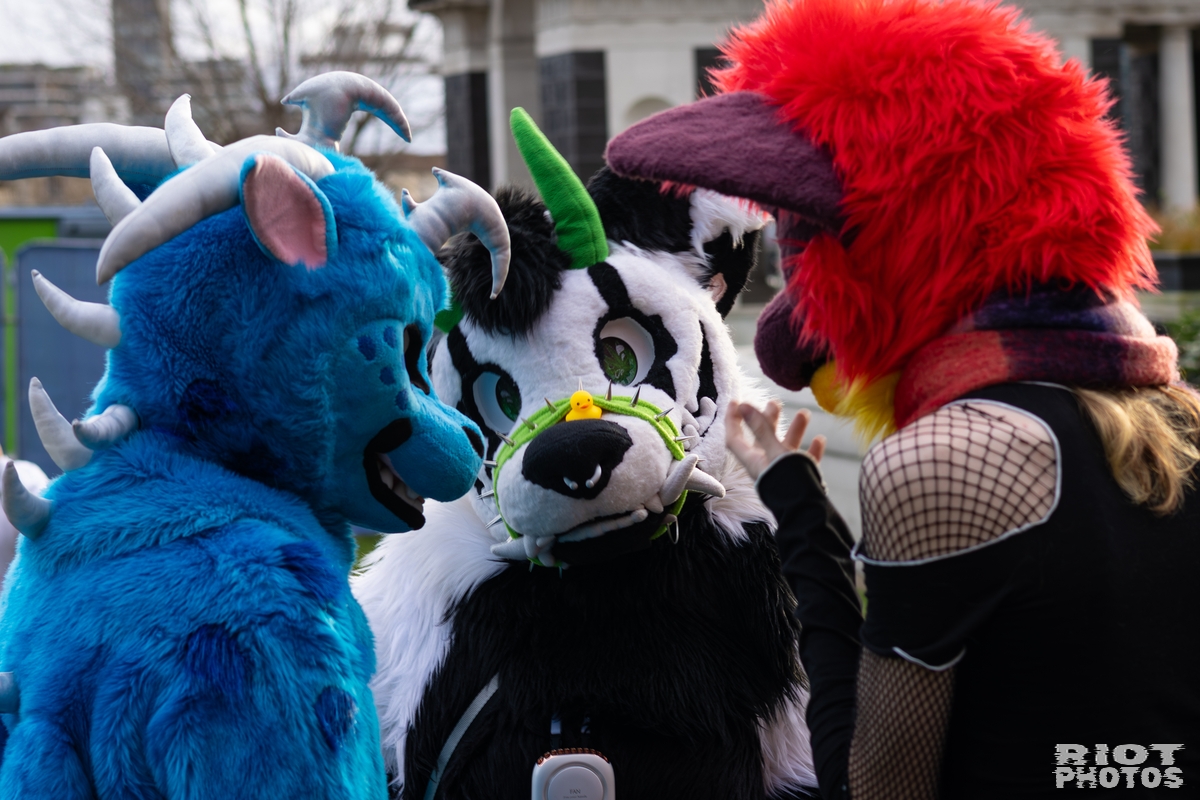 2026-01-31 LondonFurs-005.jpg