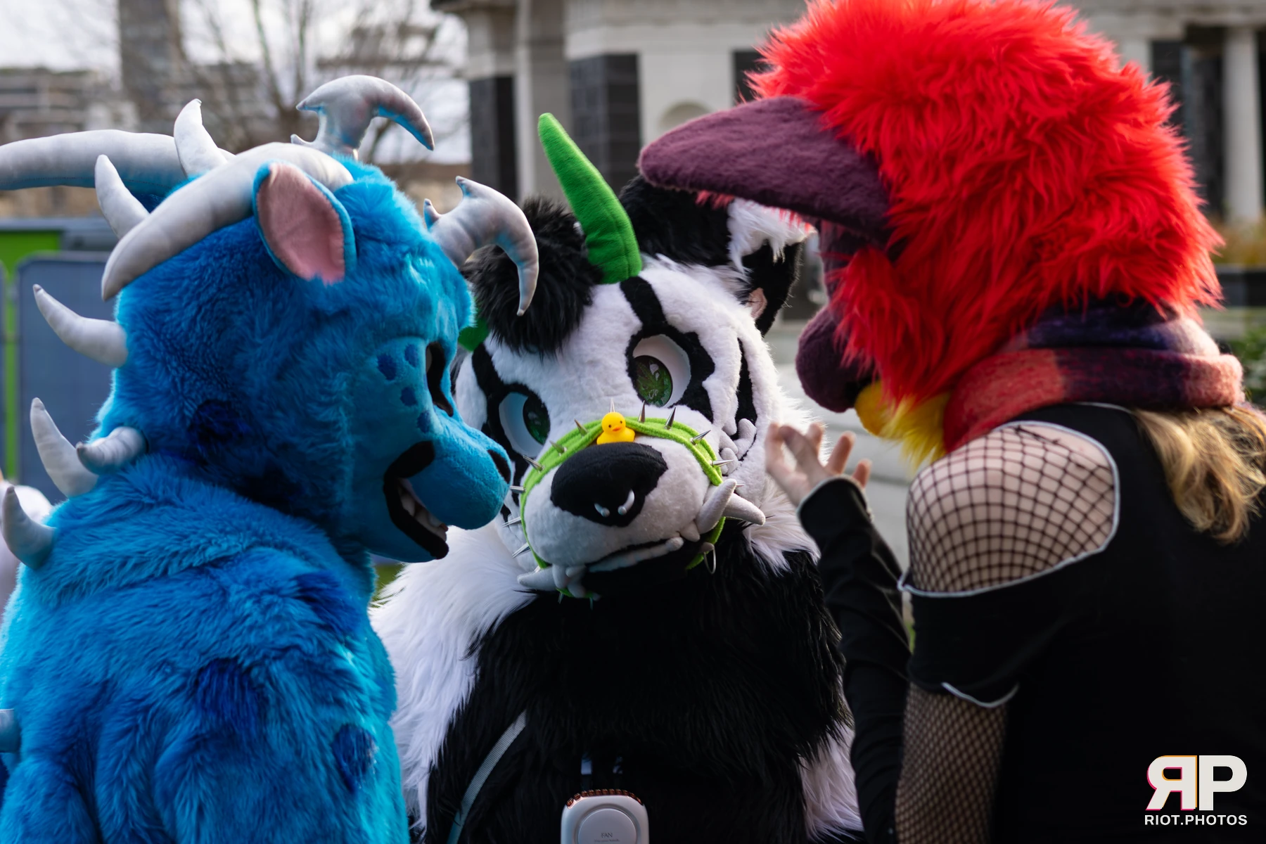 LondonFurs - January, 2026 — 31 Jan 2026, Fluffy Riot photography — photo 5
