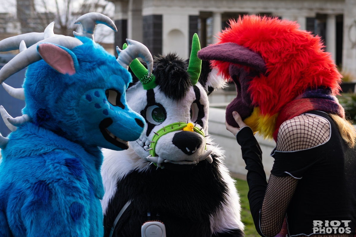 2026-01-31 LondonFurs-006.jpg