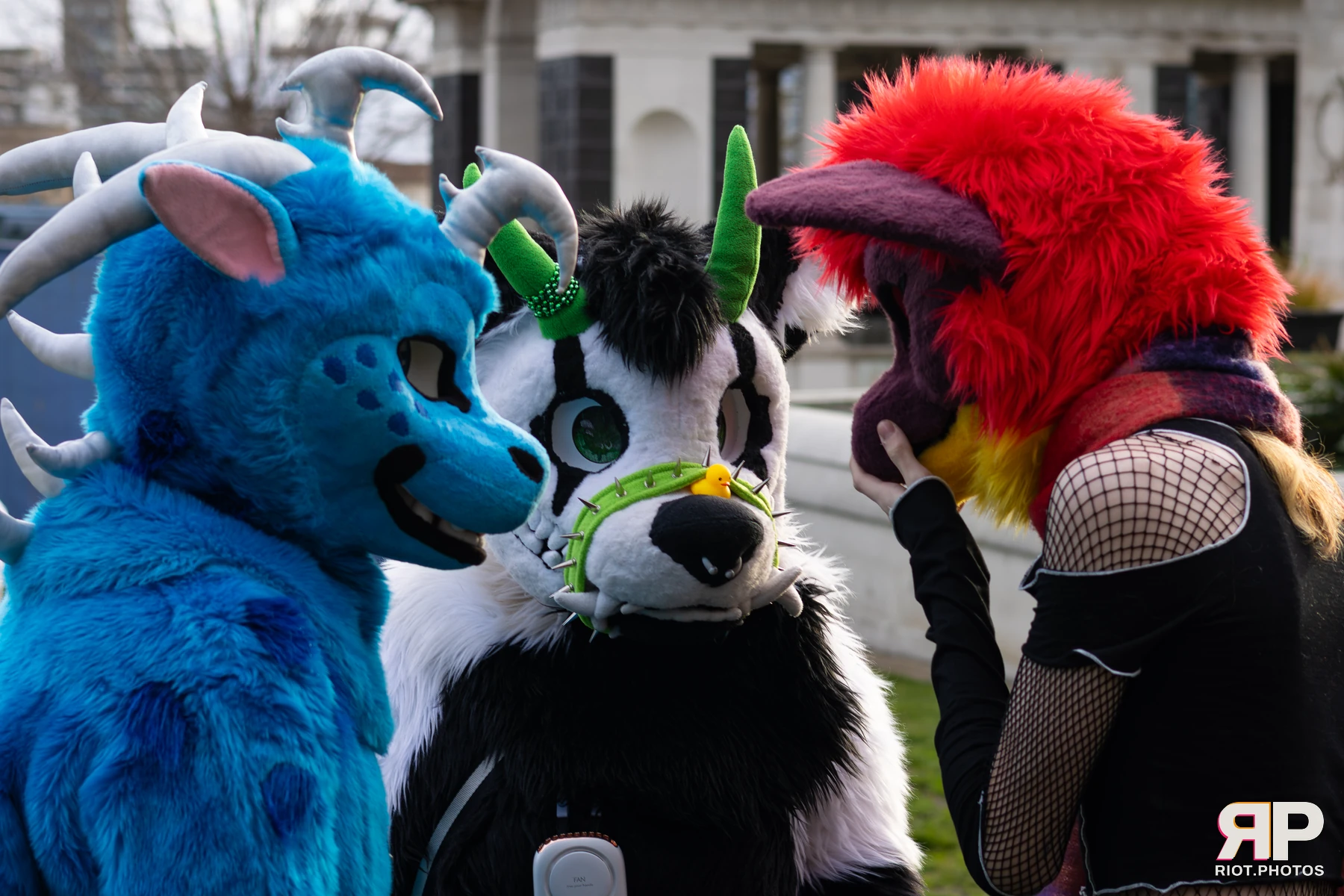LondonFurs - January, 2026 — 31 Jan 2026, Fluffy Riot photography — photo 6