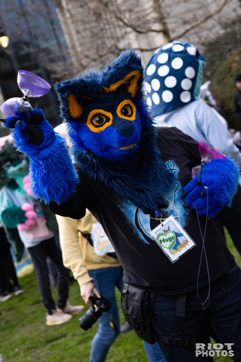 2026-01-31 LondonFurs-011.jpg