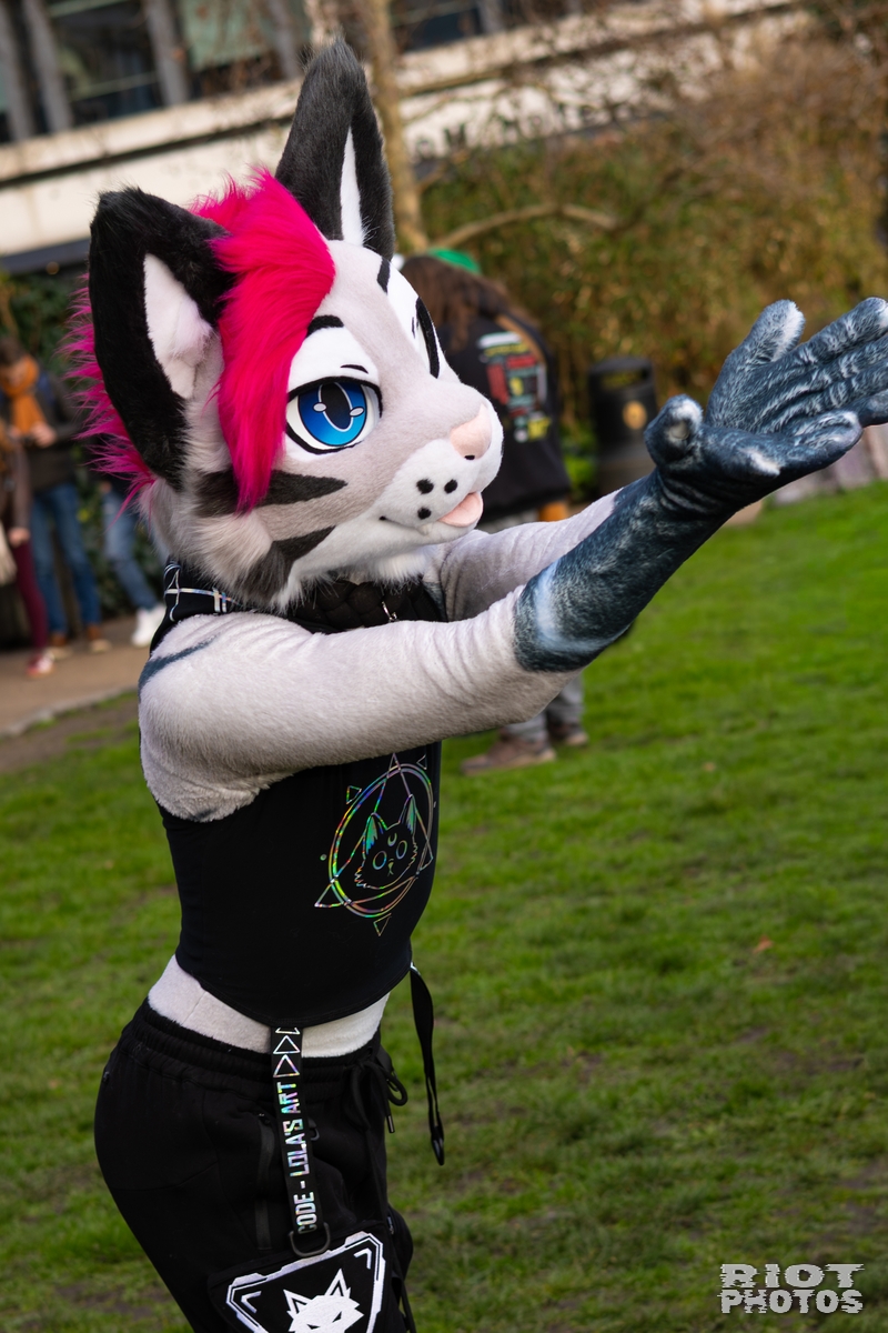 2026-01-31 LondonFurs-013.jpg