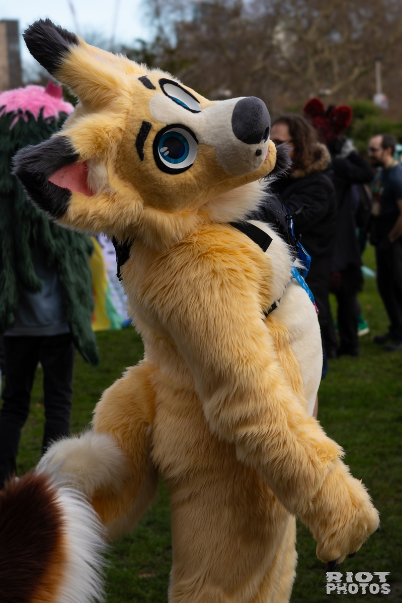 2026-01-31 LondonFurs-014.jpg