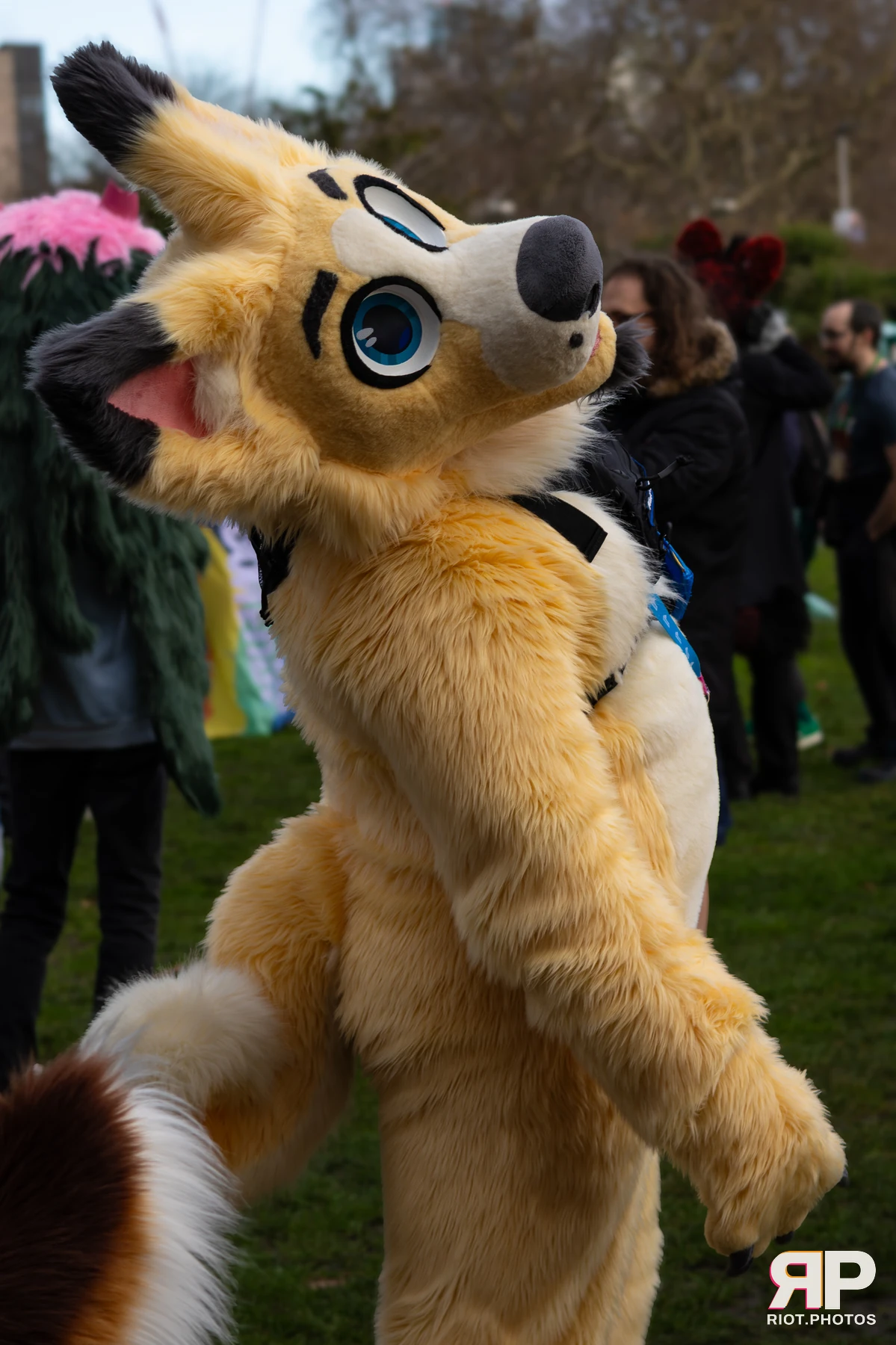 LondonFurs - January, 2026 — 31 Jan 2026, Fluffy Riot photography — photo 14