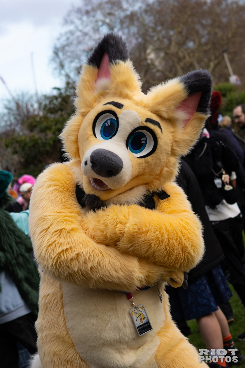 2026-01-31 LondonFurs-015.jpg