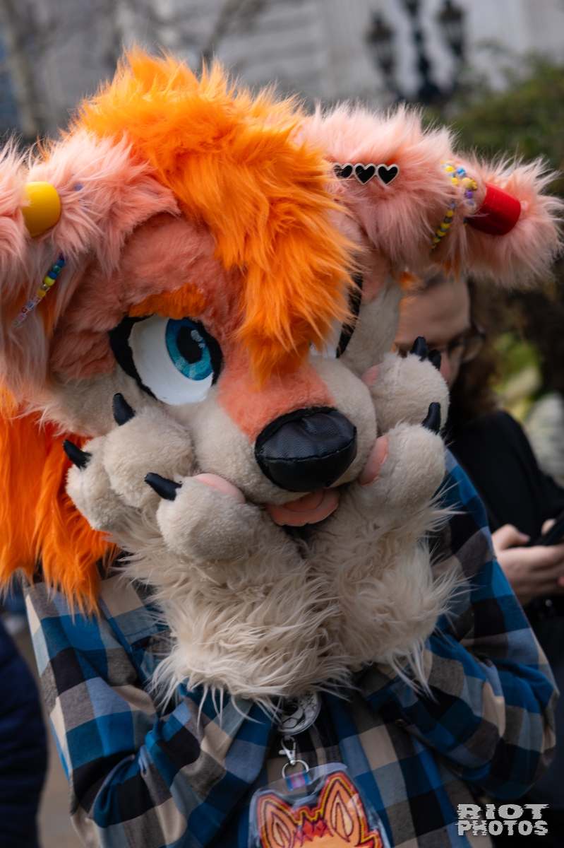 2026-01-31 LondonFurs-018.jpg