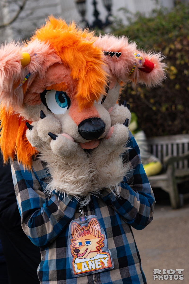 2026-01-31 LondonFurs-019.jpg