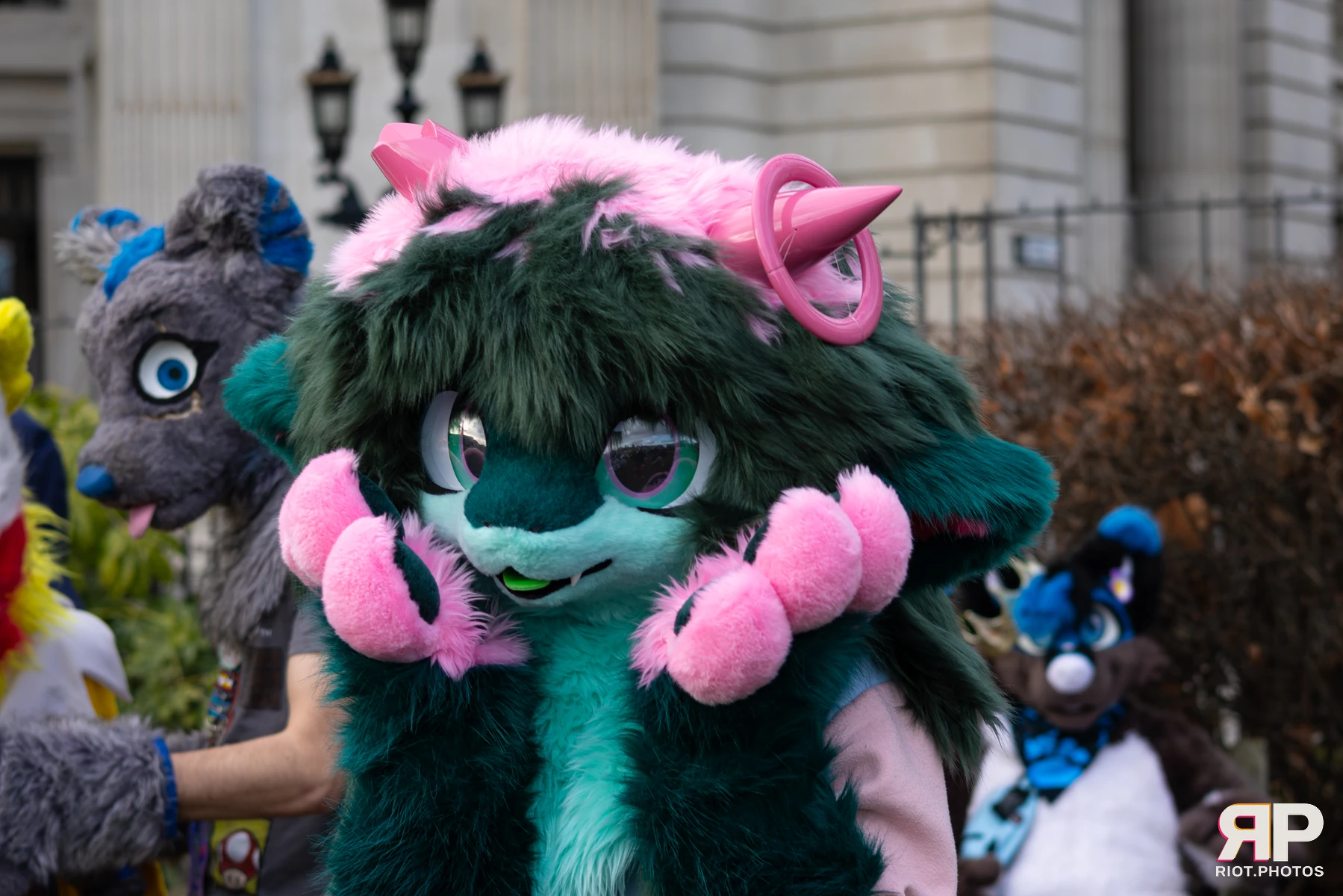 LondonFurs - January, 2026 — 31 Jan 2026, Fluffy Riot photography — photo 20
