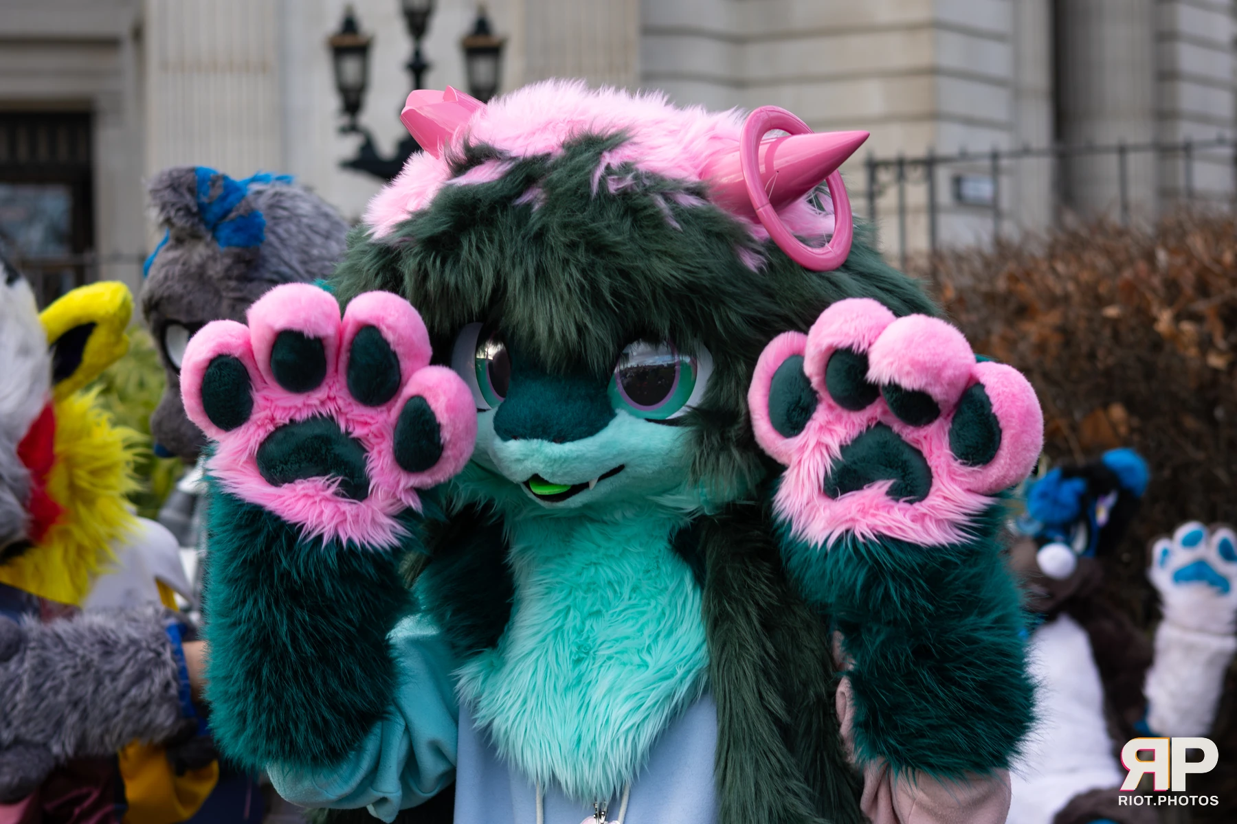 LondonFurs - January, 2026 — 31 Jan 2026, Fluffy Riot photography — photo 21