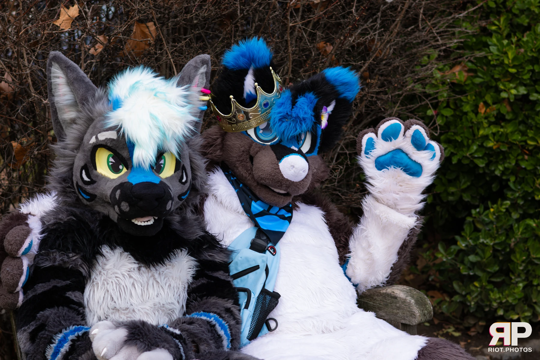 LondonFurs - January, 2026 — 31 Jan 2026, Fluffy Riot photography — photo 27