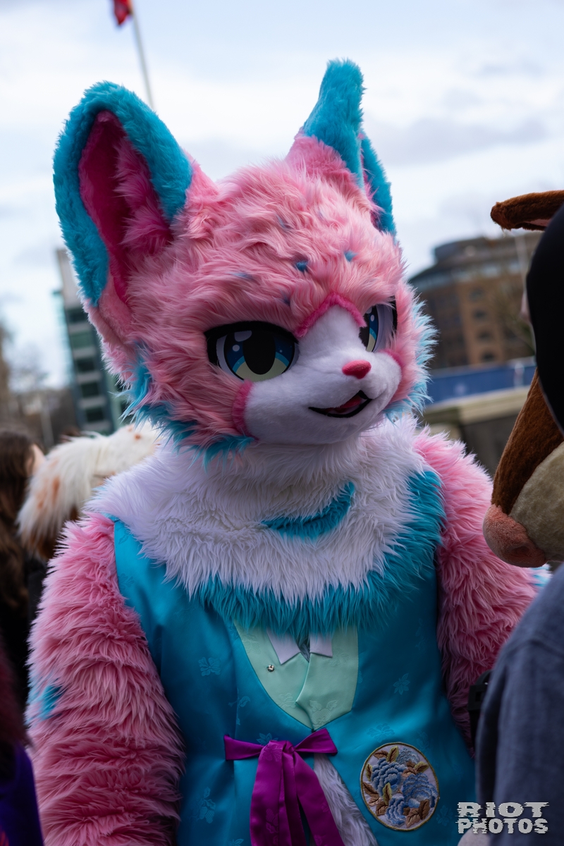 2026-01-31 LondonFurs-031.jpg