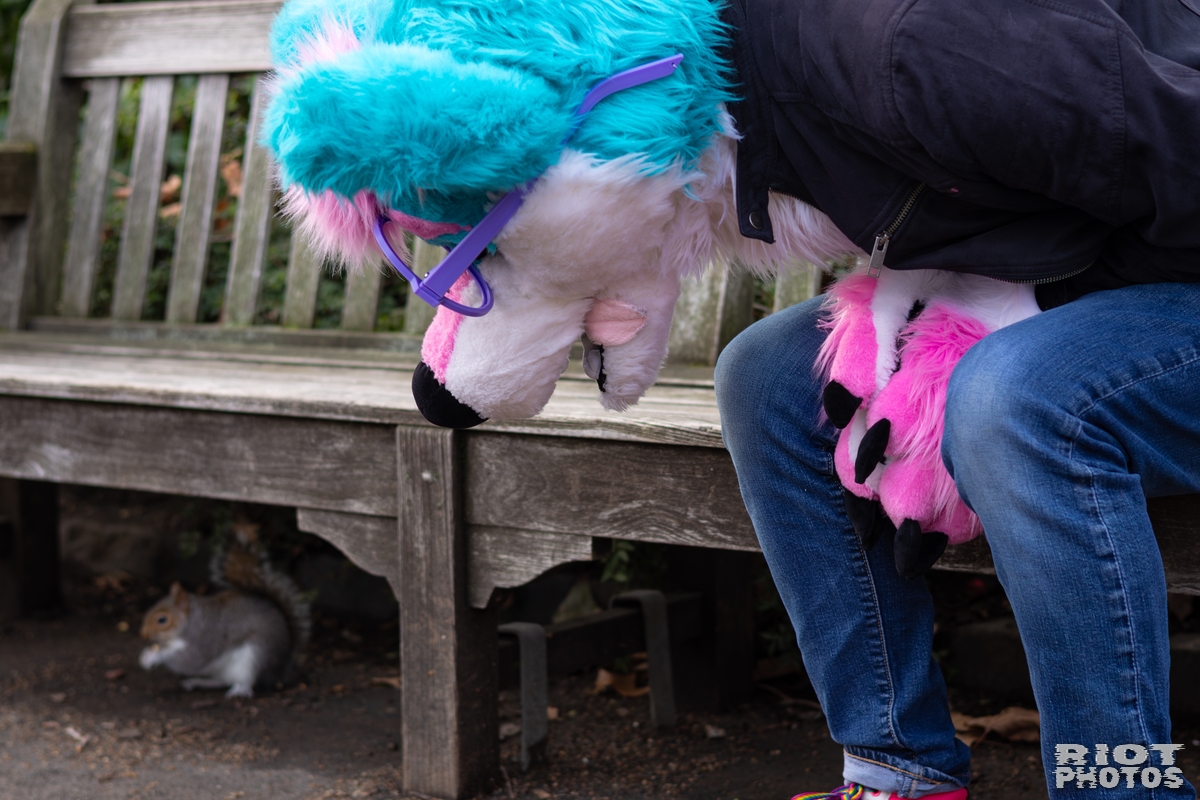 2026-01-31 LondonFurs-032.jpg