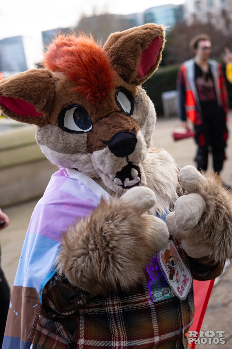 2026-01-31 LondonFurs-033.jpg