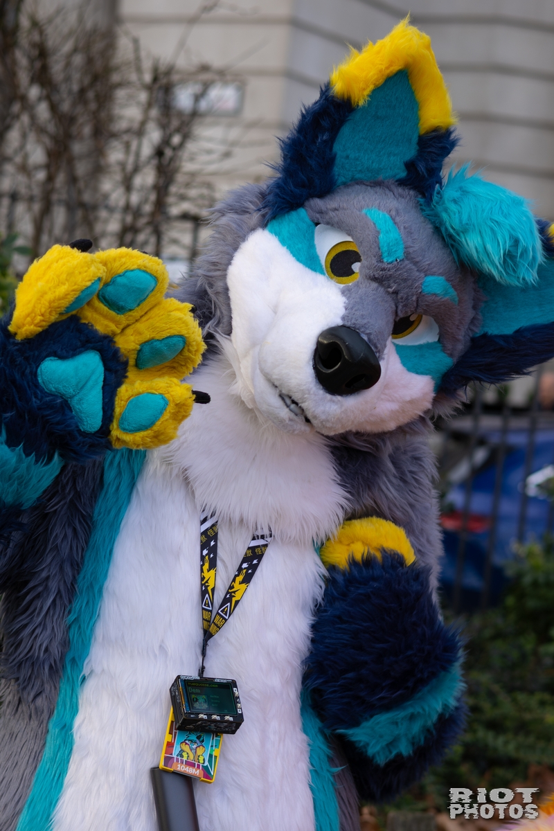 2026-01-31 LondonFurs-034.jpg