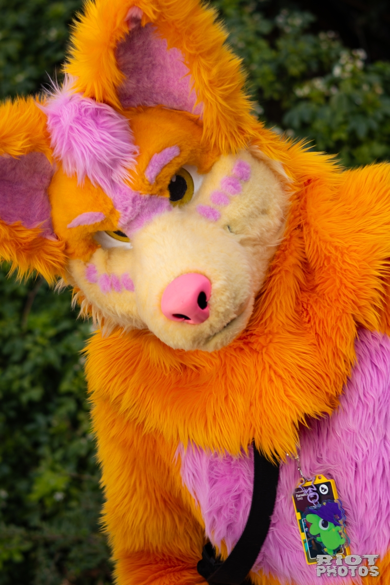 2026-01-31 LondonFurs-035.jpg