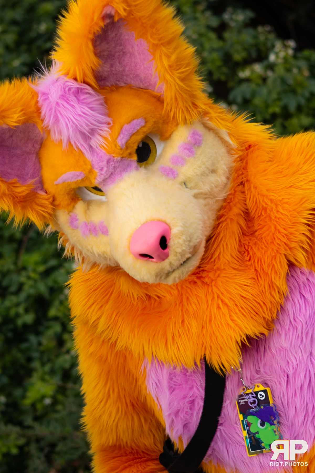 LondonFurs - January, 2026 — 31 Jan 2026, Fluffy Riot photography — photo 35