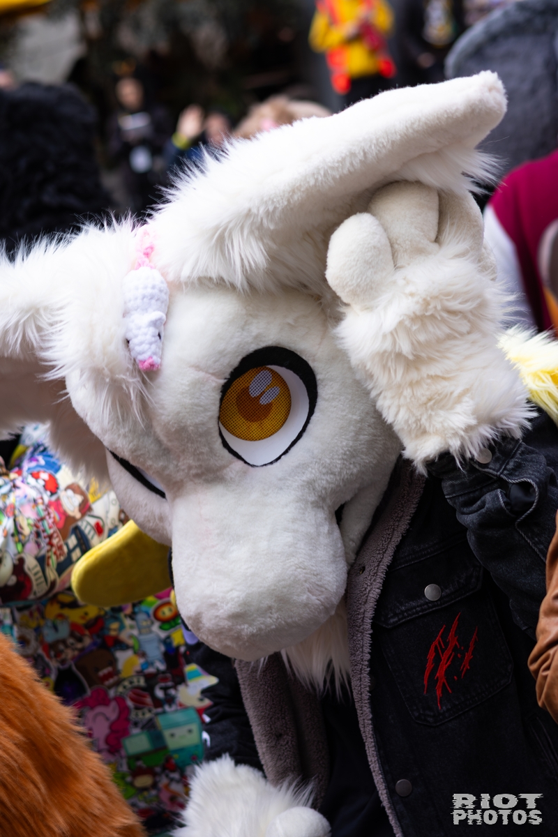 2026-01-31 LondonFurs-036.jpg