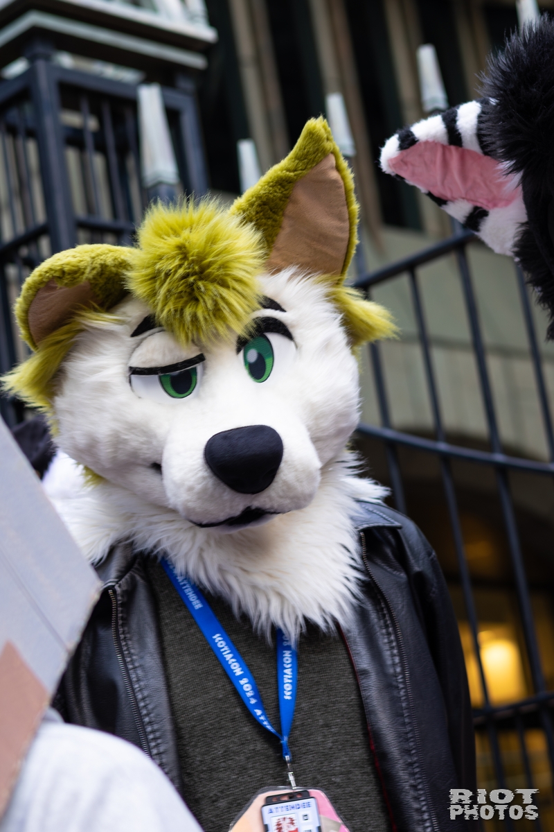 2026-01-31 LondonFurs-038.jpg