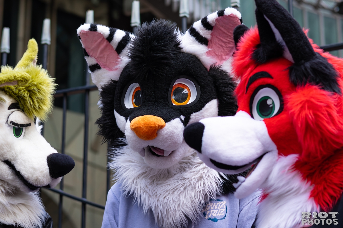 2026-01-31 LondonFurs-039.jpg