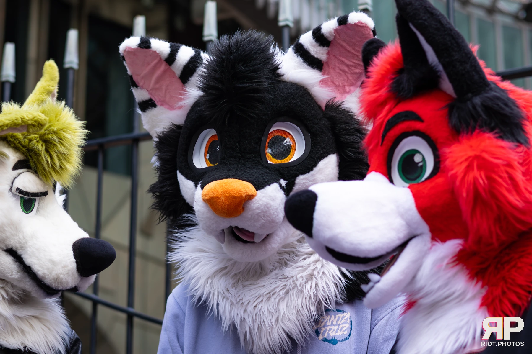 LondonFurs - January, 2026 — 31 Jan 2026, Fluffy Riot photography — photo 39
