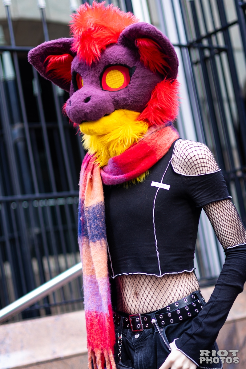 2026-01-31 LondonFurs-042.jpg