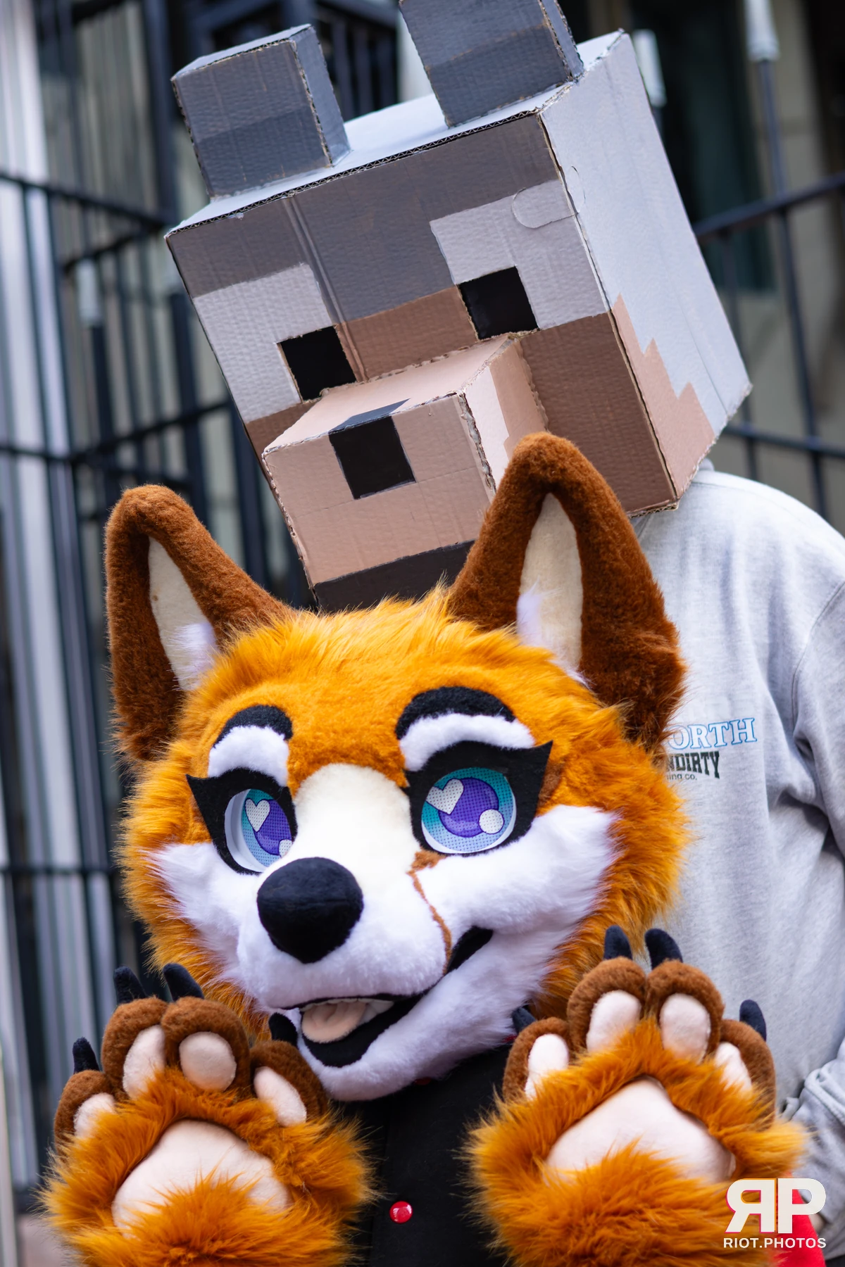 LondonFurs - January, 2026 — 31 Jan 2026, Fluffy Riot photography — photo 43