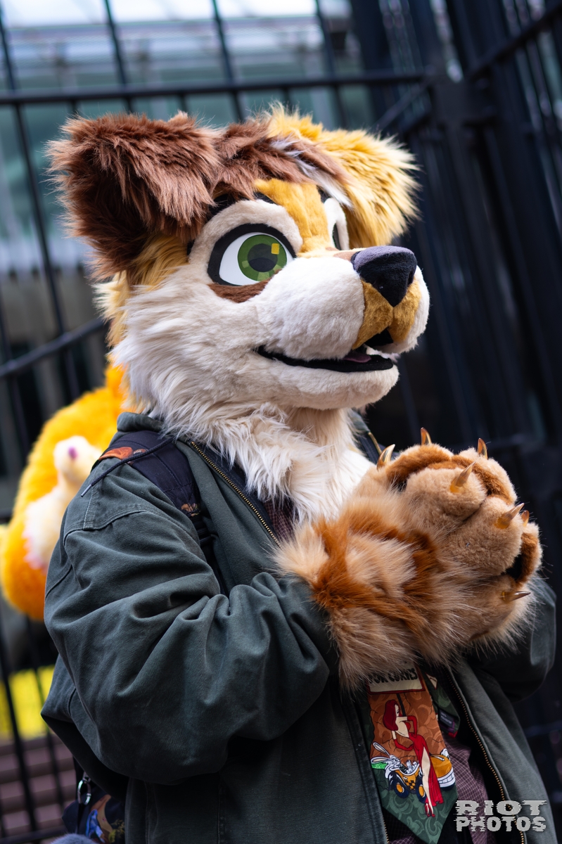 2026-01-31 LondonFurs-045.jpg