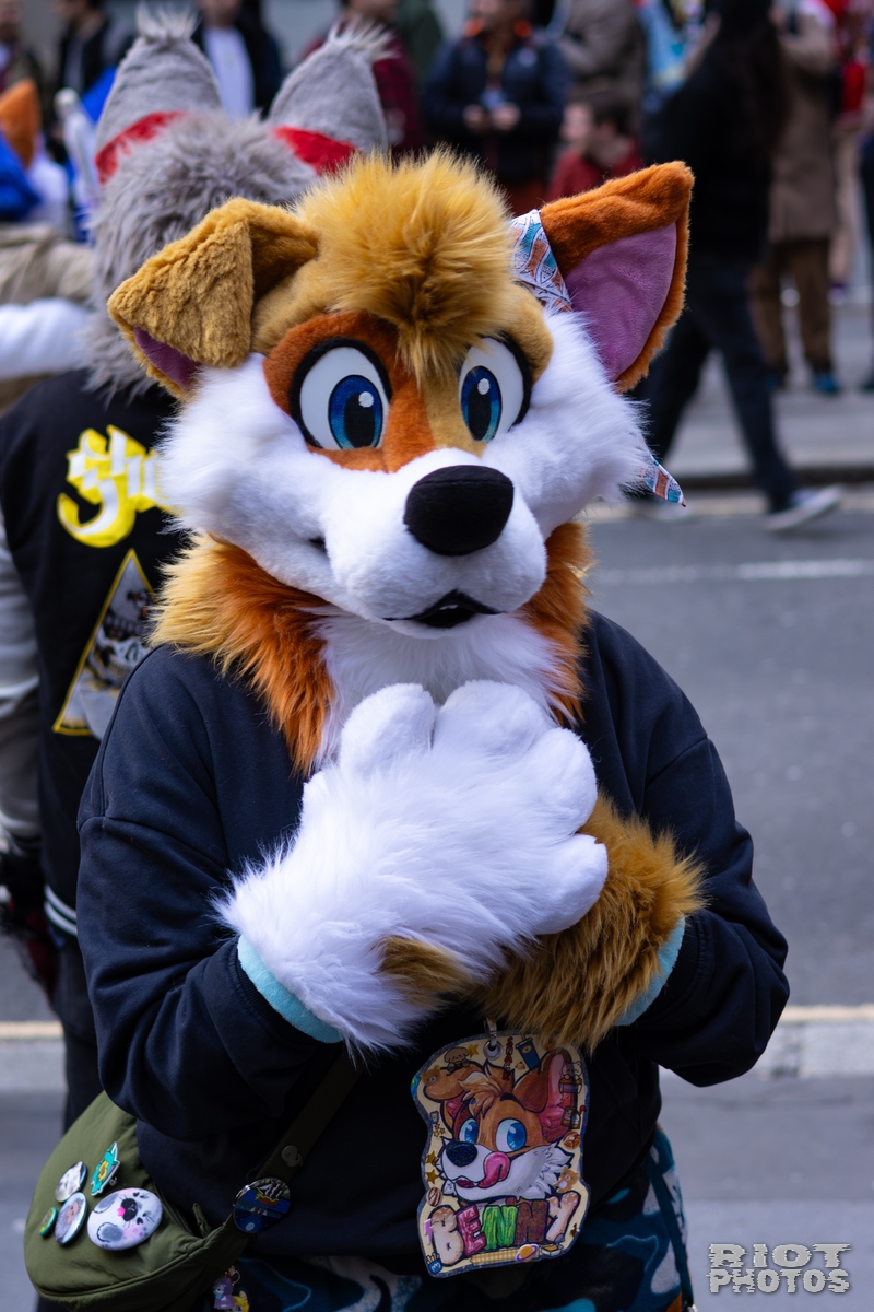 2026-01-31 LondonFurs-046.jpg