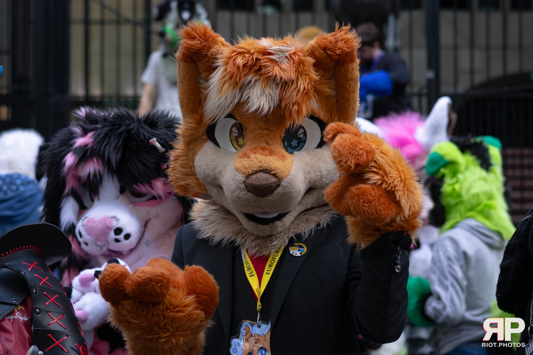 LondonFurs - January, 2026 — 31 Jan 2026, Fluffy Riot photography — photo 49