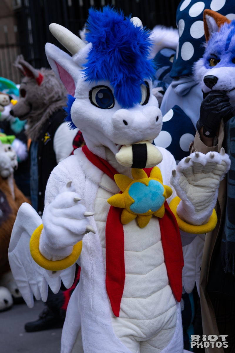 2026-01-31 LondonFurs-051.jpg