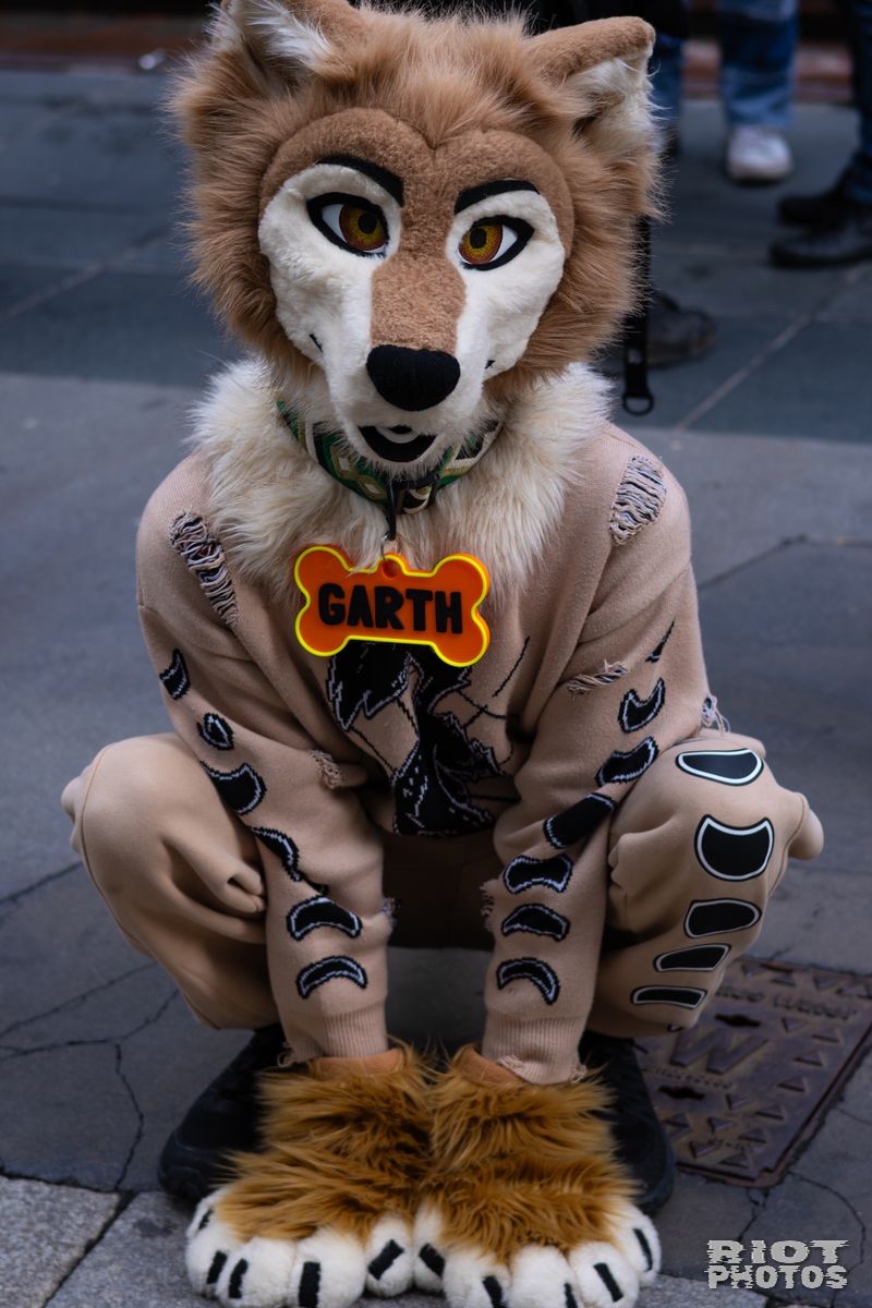 2026-01-31 LondonFurs-052.jpg